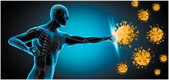 Illustration of immune cells (antibodies, white blood cells) attacking germs.